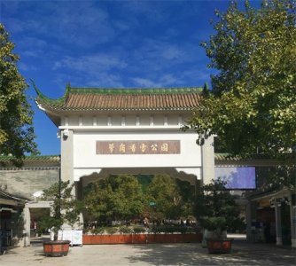 ​萝岗香雪公园：十里梅林映朝阳，一池水杉醉晚霞！