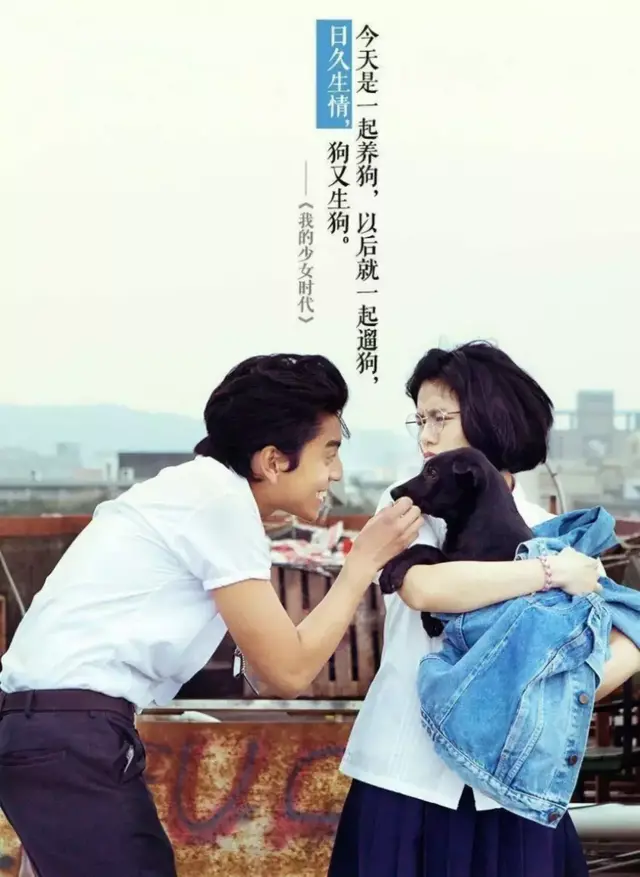 我的少女时代演员名单(我的少女时代第二部换女主)