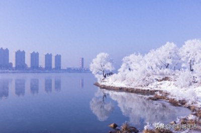 ​中国四大自然奇观:吉林雾凇有多美？建议南方的朋友去看看！