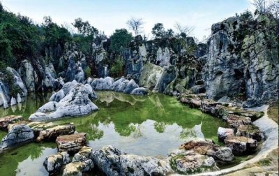 ​贵阳喀斯特公园，绝壁上的两只“亿年”生物化石，令人惊奇