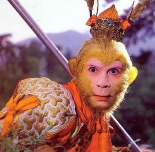 ​《西游记》中的四大混世神猴都有哪些？谁的本领最大？