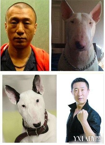 孟晚舟为什么被拘（加拿大为什么要抓孟晚舟）