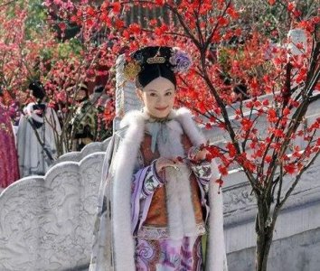 ​孙俪主演的电视剧有哪些电视剧2025(孙俪新电视剧卖房子的人什么时候上映)