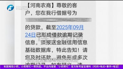 ​女子结识陌生男子后，替他开公司背上40万贷款