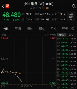 ​小米暴跌近7%