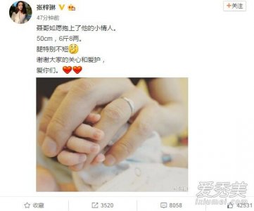 ​张梓琳生女儿 张梓琳老公聂磊身高个人资料家庭背景