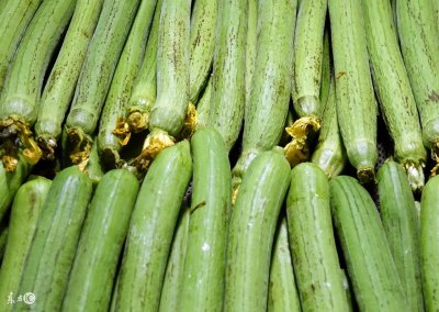 ​海蜇丝瓜，懒人切菜神器！不用刀，掰开里面瓜瓤已是一丝一丝的