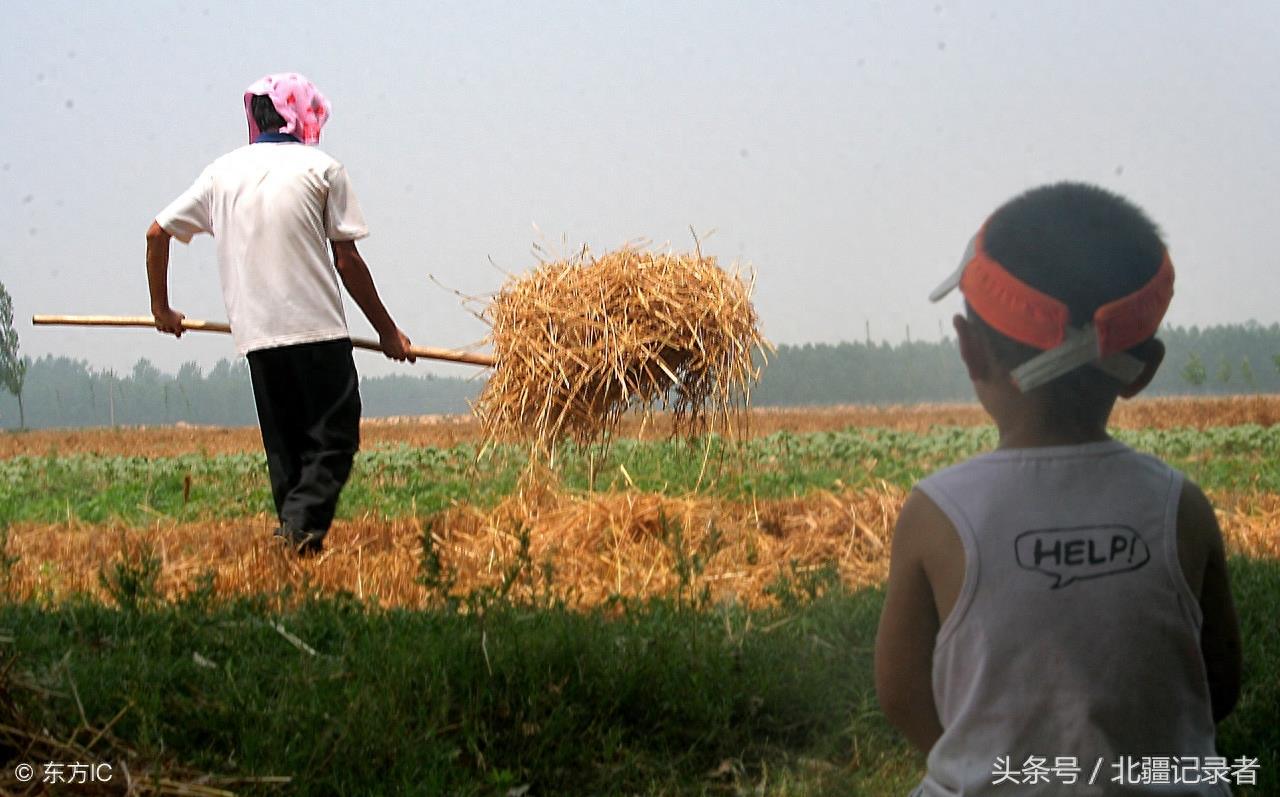 14个父亲背影感人瞬间，哪张打湿了您的眼，哪张又勾起了您的回忆