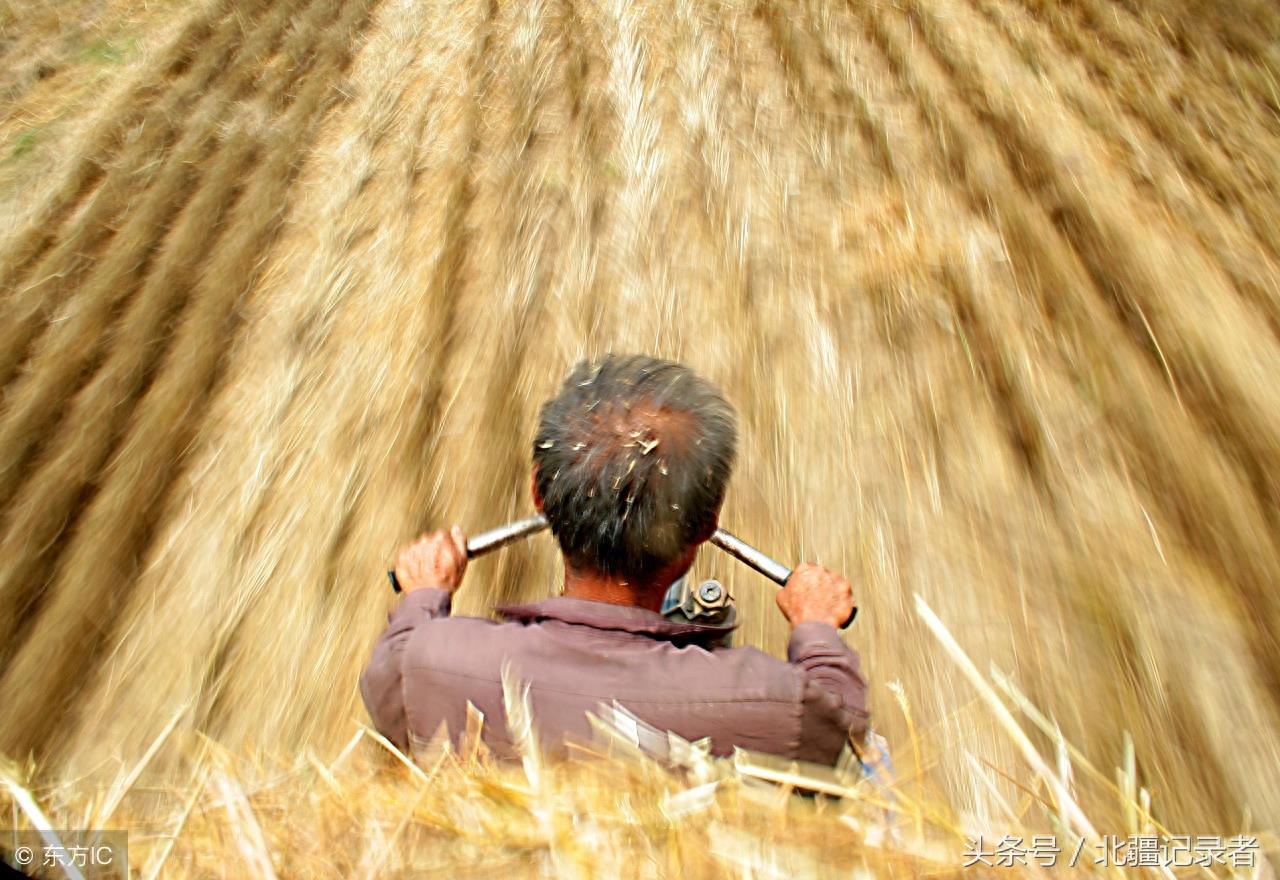 14个父亲背影感人瞬间，哪张打湿了您的眼，哪张又勾起了您的回忆