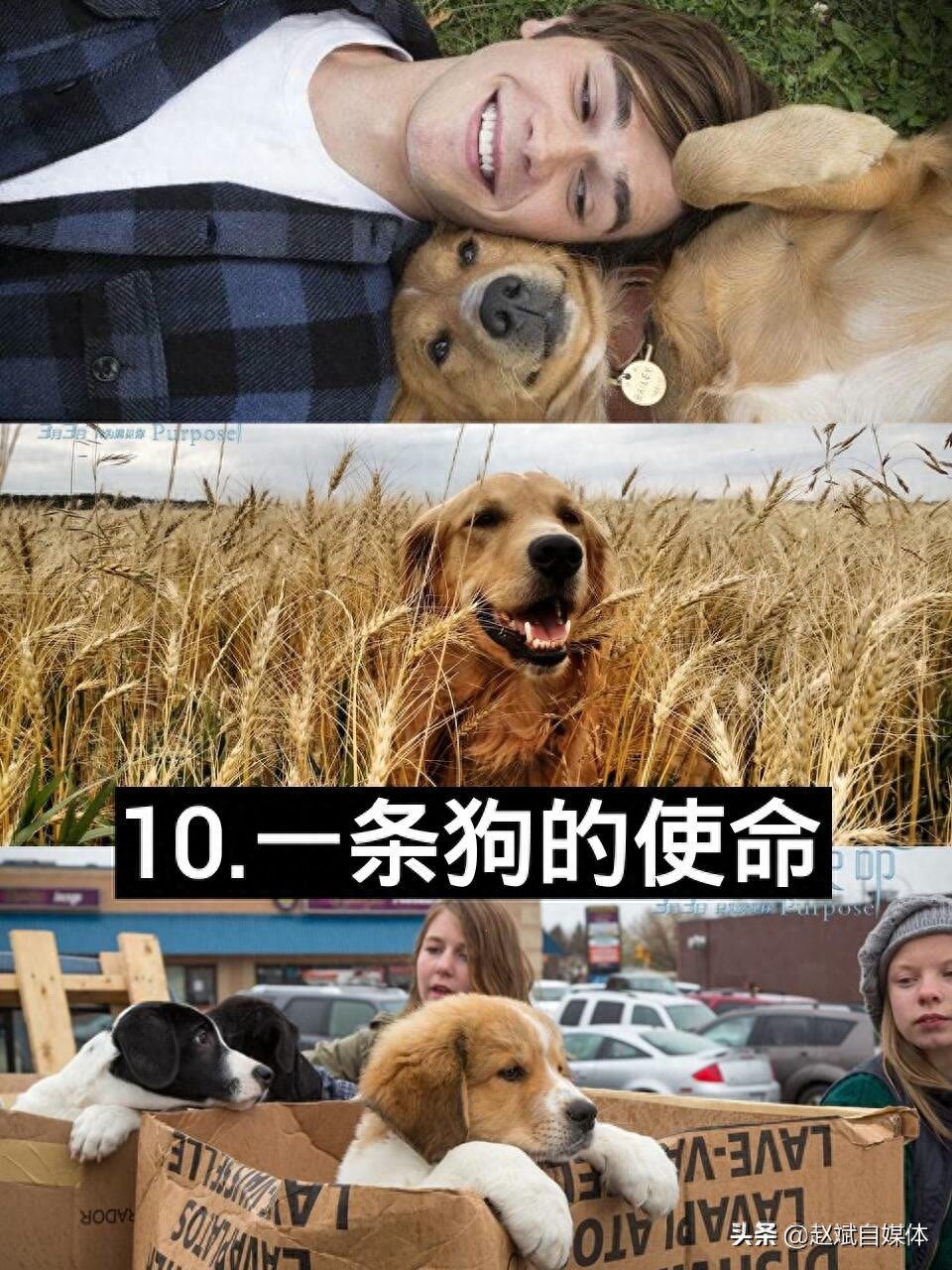 盘点10部超感人哭到无法自拔的电影