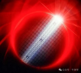 ​荷兰被骂惨了