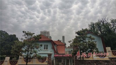 ​罕见！青岛上空现“乳状云”奇观