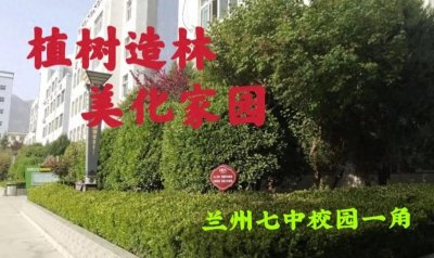 ​史宏杰： 现代节日之中国植树节诗两首