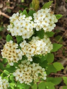 ​i miss you    我错过你了