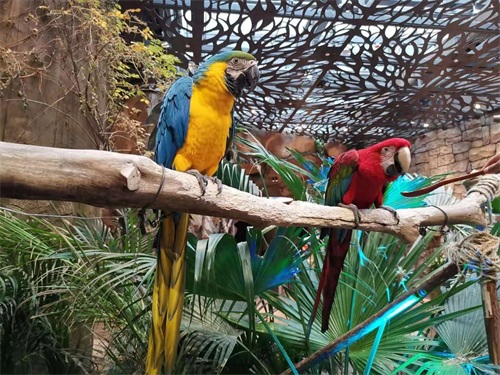 「原创」探访开元森泊，这家建了8年的网红亲子酒店