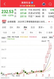 ​吊打比亚迪、用“老头乐”狂割美国人，这家车企要赴港上市了