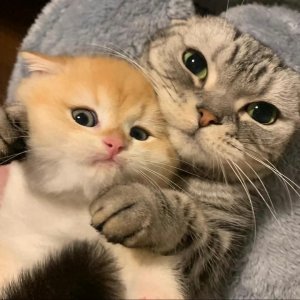 ​巨蟹座最可怕的一面