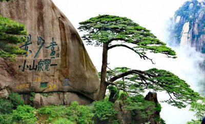 ​庐山和黄山哪个更好玩？刚从两山旅游回来，亲身经历感受不得不说