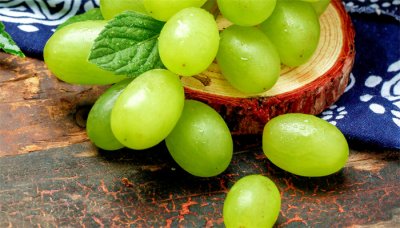 ​青提是酸性还是碱性