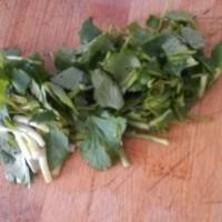 豆腐汤的8种家常做法(清炖豆腐汤的做法步骤)(3)