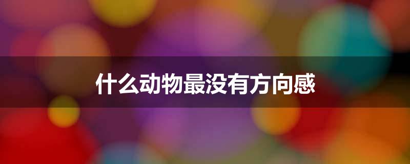 什么动物最没有方向感