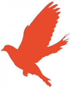 ​“志愿山东”志愿者管理平台上线运行！详细操作流程来啦！