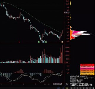 ​揭穿股票“筹码分布理论”的大骗局