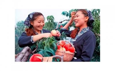 ​相亲找对象，教你一些相亲的技巧和方法