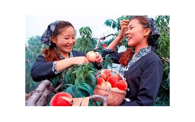 相亲找对象,教你一些相亲的技巧和方法 相亲找对象,教你一些相亲的技巧和方法