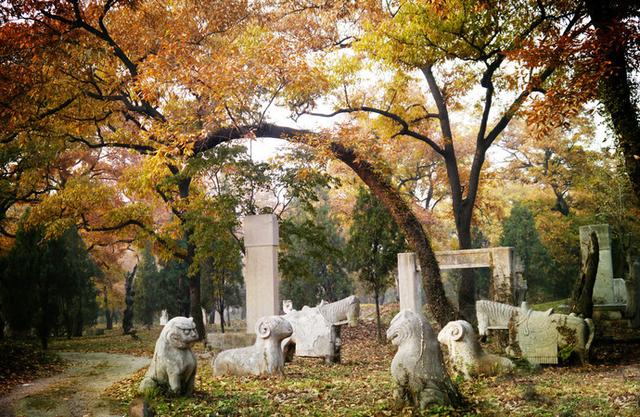 济南泰安曲阜旅游攻略(曲阜最全旅行攻略)(26)