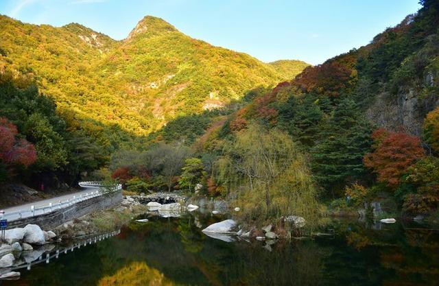 济南泰安曲阜旅游攻略(曲阜最全旅行攻略)(15)