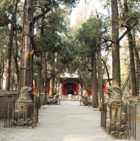 济南泰安曲阜旅游攻略(曲阜最全旅行攻略)(25)