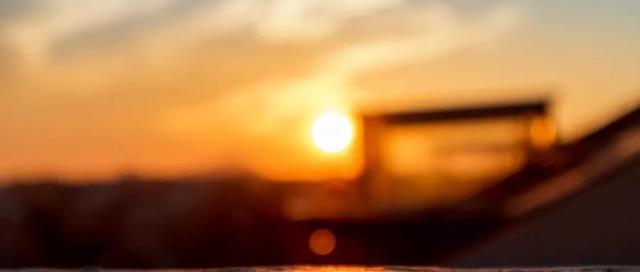 上海知青王安忆简介(与张新颖七次对话)(6)