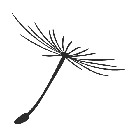 上海知青王安忆简介(与张新颖七次对话)(3)