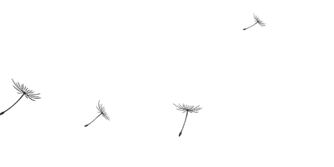 上海知青王安忆简介(与张新颖七次对话)(5)