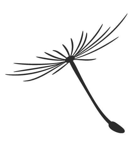 上海知青王安忆简介(与张新颖七次对话)(2)