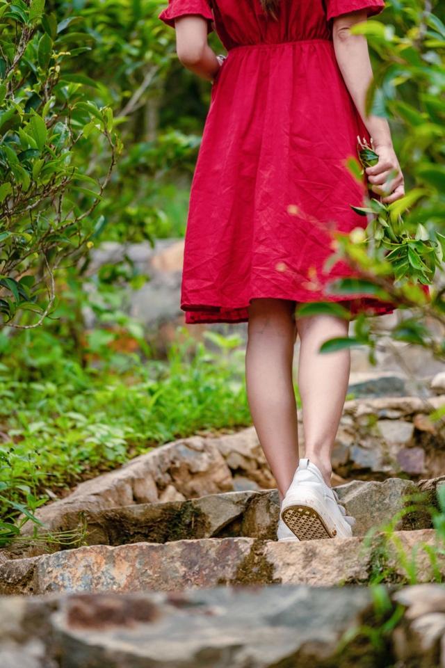 潮州潮安区附近好玩的景点(哪些景点必须打卡)(28)