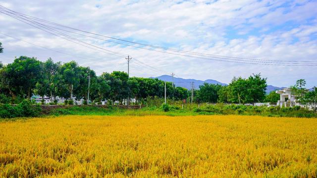 潮州潮安区附近好玩的景点(哪些景点必须打卡)(18)
