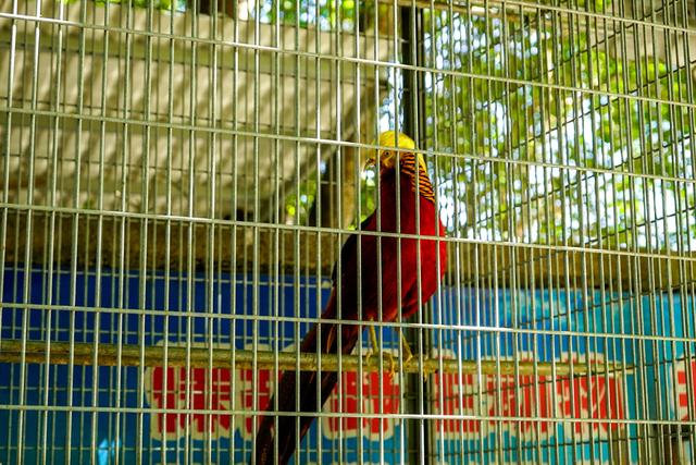 潮州潮安区附近好玩的景点(哪些景点必须打卡)(25)