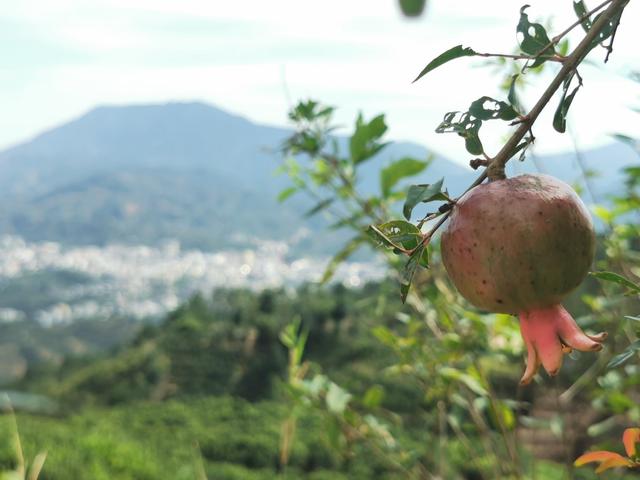 潮州潮安区附近好玩的景点(哪些景点必须打卡)(15)