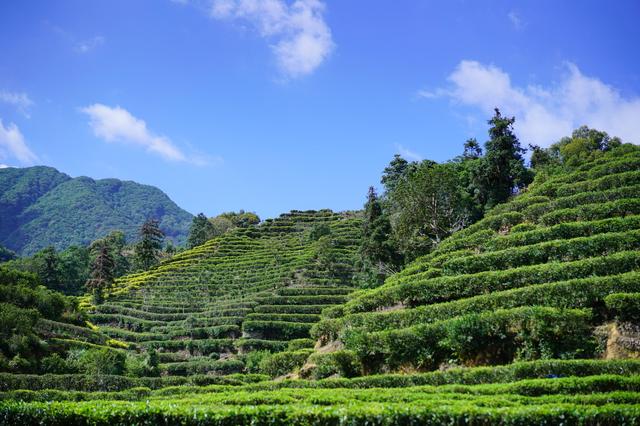 潮州潮安区附近好玩的景点(哪些景点必须打卡)(1)