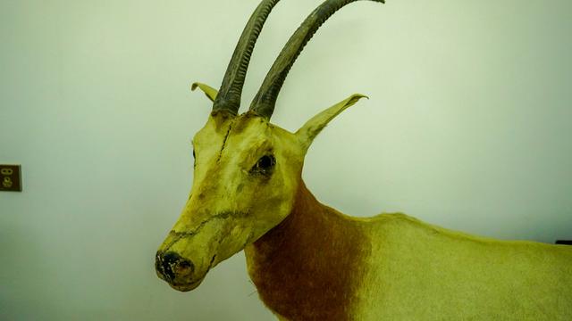 潮州潮安区附近好玩的景点(哪些景点必须打卡)(26)