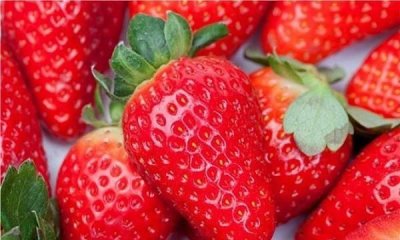​草莓的正确清洗方法,草莓怎么洗 清洗草莓的正确方法