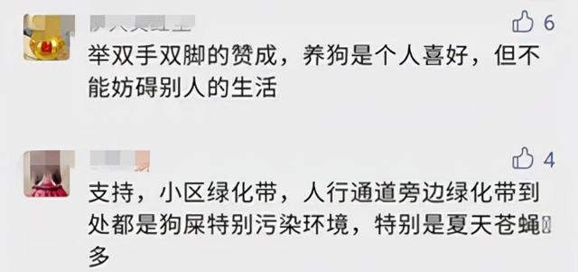限狗令原因(最严限狗令官方回复来了)(3)