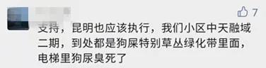 限狗令原因(最严限狗令官方回复来了)(4)