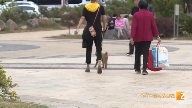 限狗令原因(最严限狗令官方回复来了)(9)