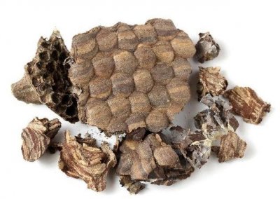 ​蜂窝的功效与作用(野蜂蜂窝的功效与作用)