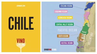 ​智利最有名的红酒品牌（智利红酒品牌排行榜前十名）