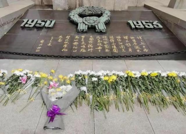 抗美援朝战争伤亡数据对比图（抗美援朝战争交战方牺牲了多少人）(7)