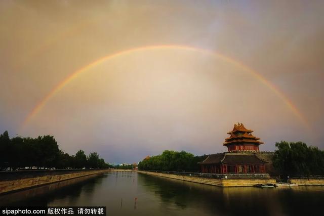 故宫年票和门票有什么区别（终于买到故宫年票）(20)